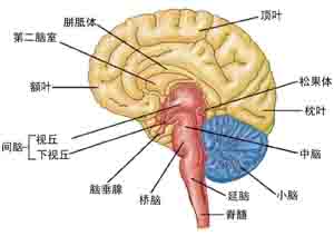 未標(biāo)題-2.jpg